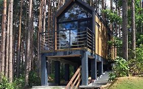 Domek w Koronach Drzew